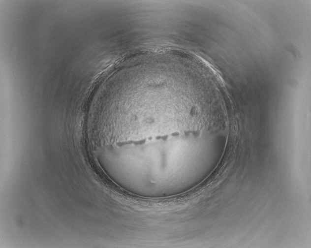 X0000116040018200911201354