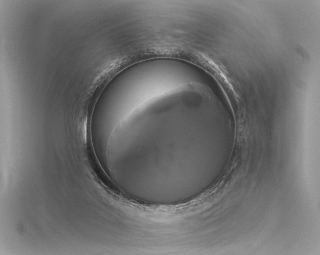 X0000116040019200911201354