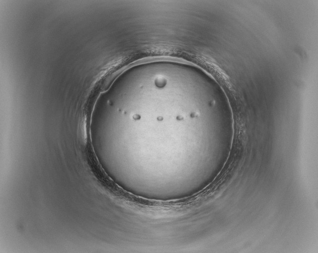 X0000116040020200911201354