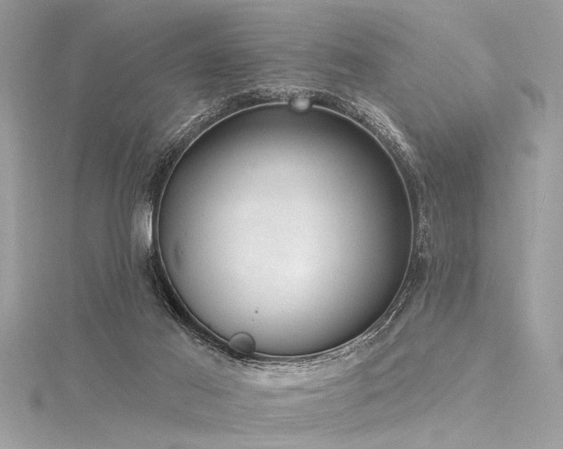 X0000116040021200911201354