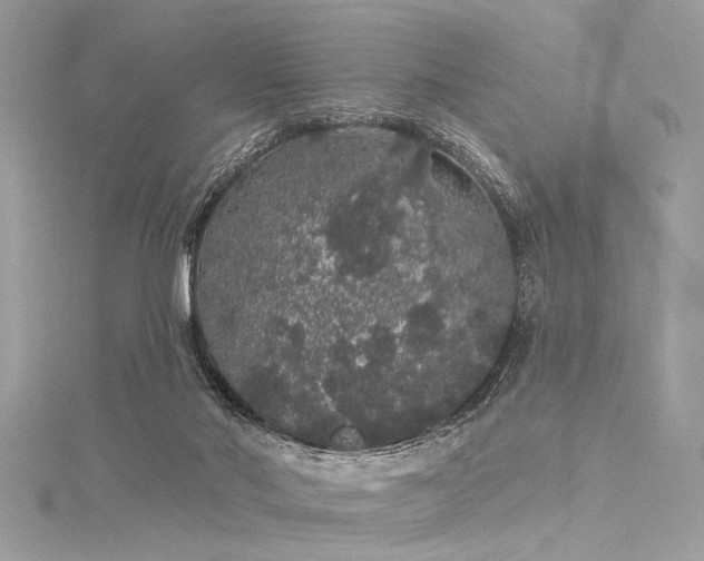 X0000116040022200911201354