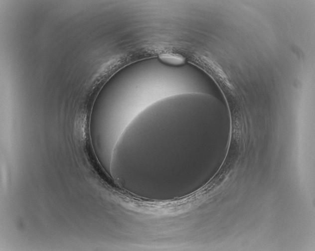 X0000116040023200911201354