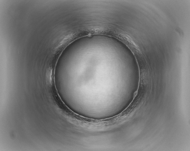 X0000116040024200911201354