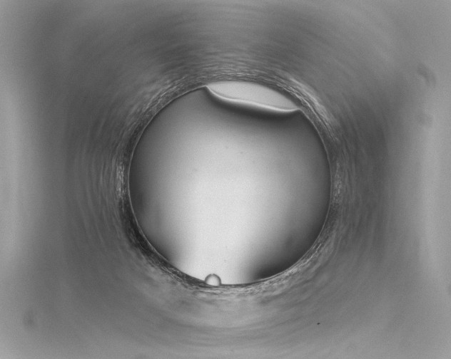 X0000116040025200911201354