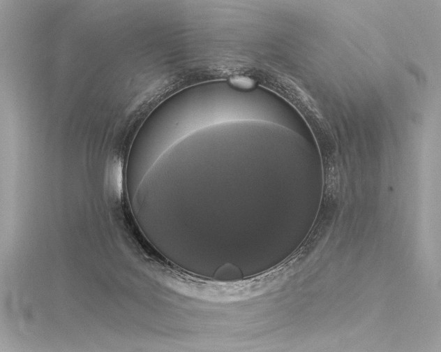 X0000116040027200911201354