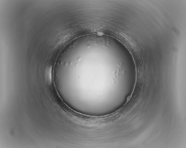 X0000116040028200911201354