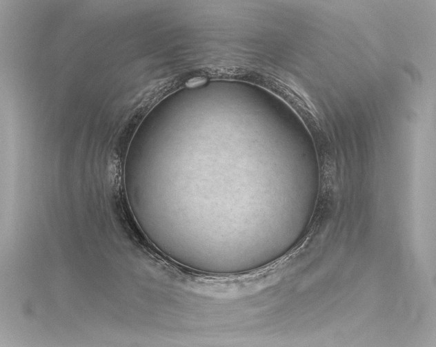 X0000116040029200911201354