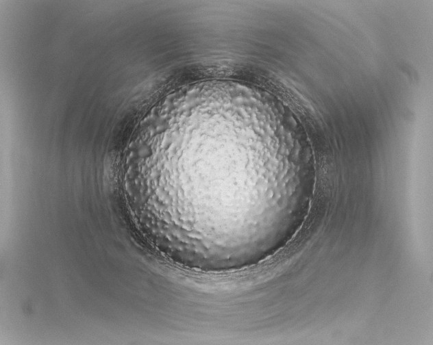 X0000116040030200911201354