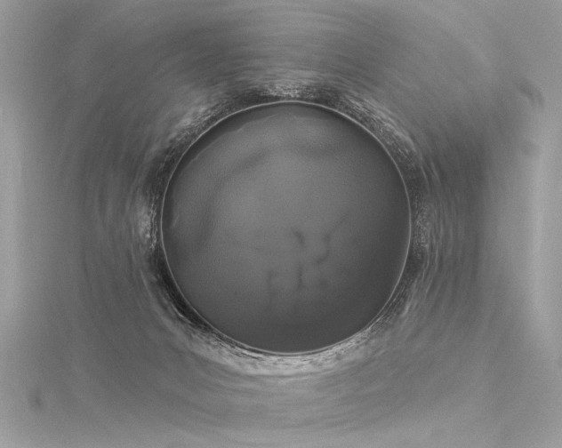 X0000116040031200911201354