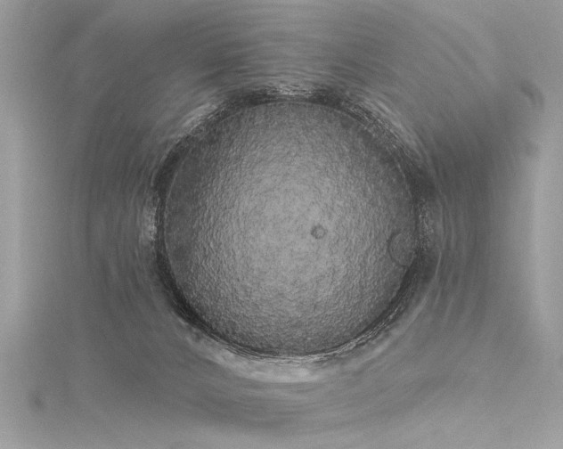 X0000116040032200911201354