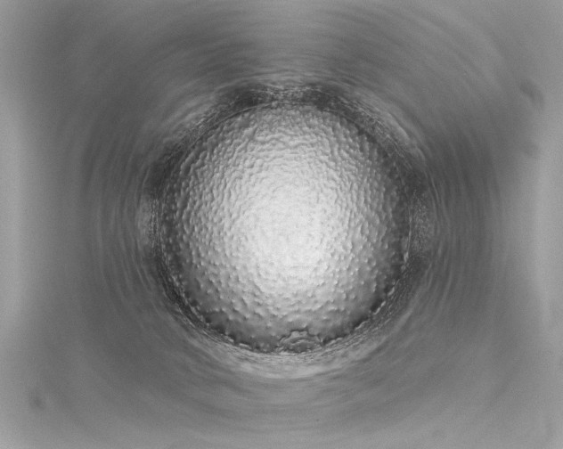 X0000116040034200911201354