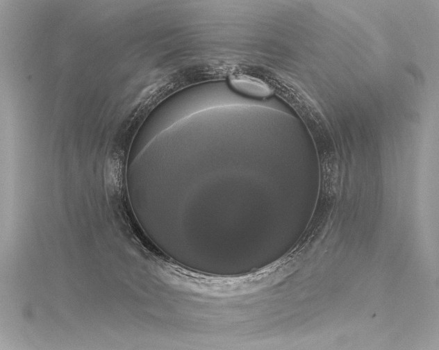 X0000116040035200911201354