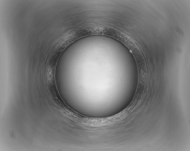 X0000116040037200911201354