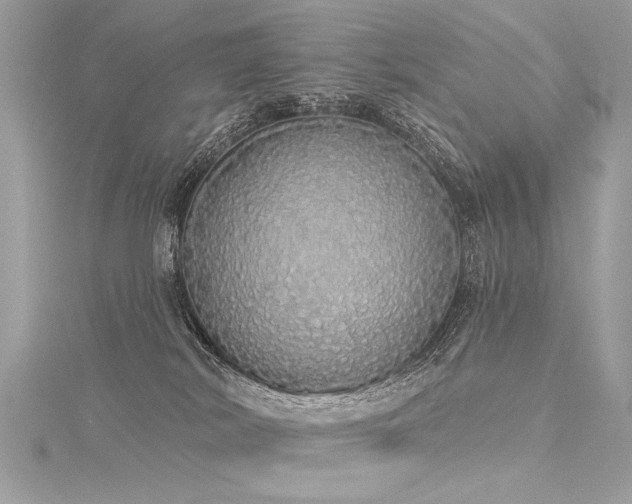 X0000116040038200911201354