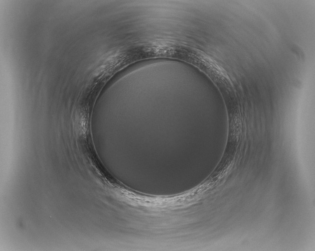 X0000116040039200911201354