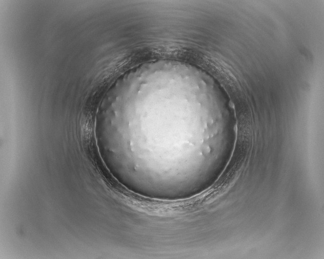 X0000116040040200911201354