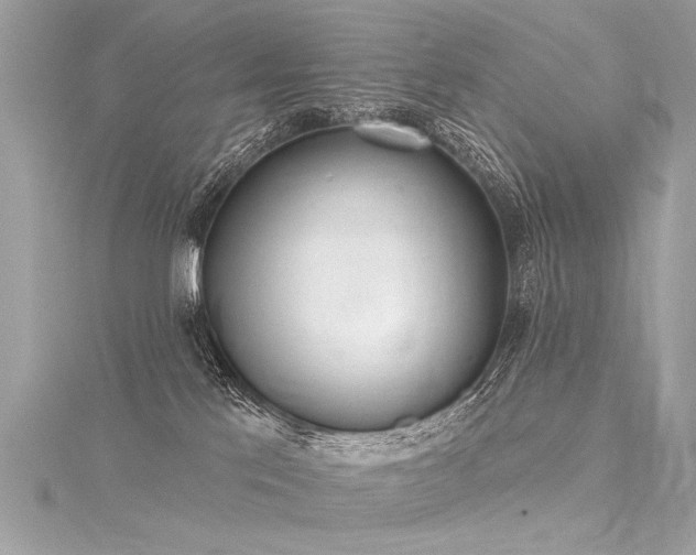 X0000116040041200911201354