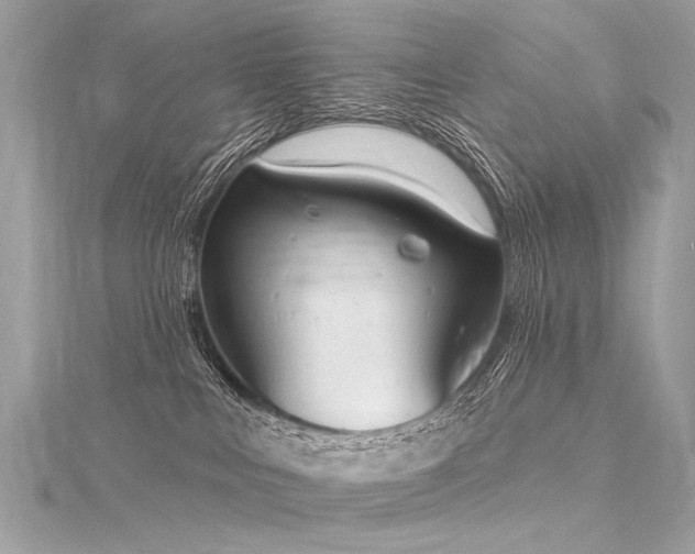 X0000116040043200911201354