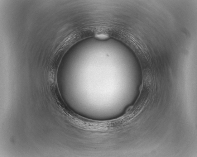 X0000116040044200911201354