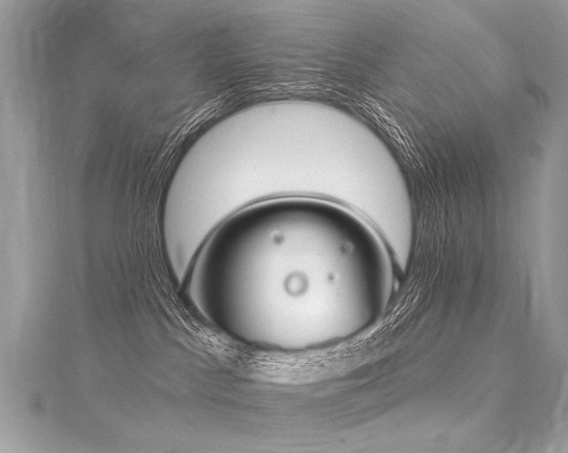 X0000116040045200911201354