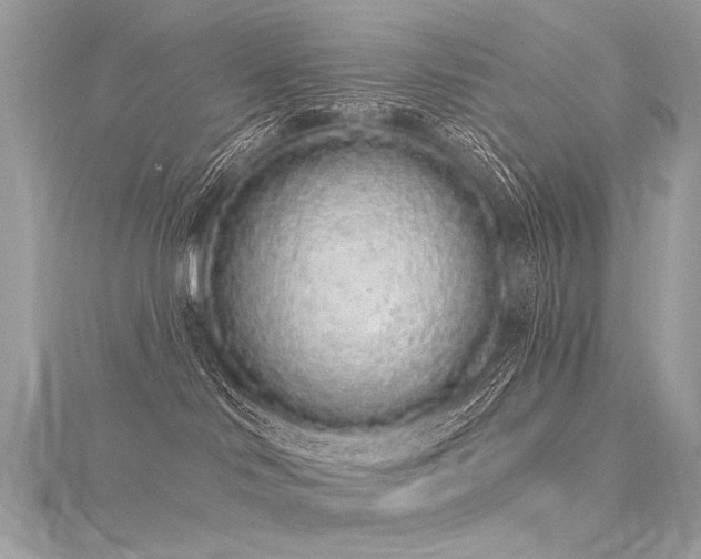 X0000116040046200911201354