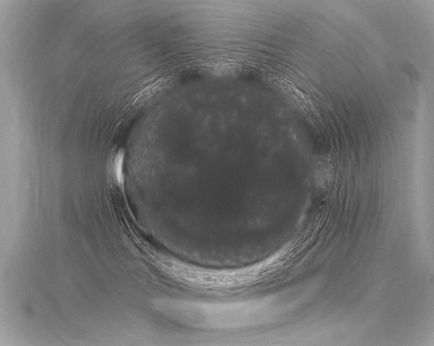 X0000116040047200911201354