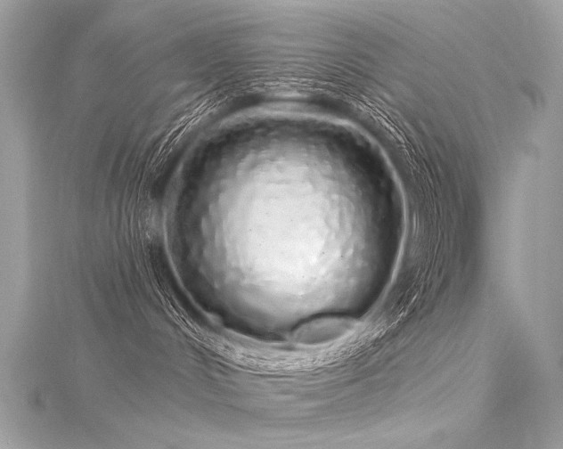 X0000116040048200911201354