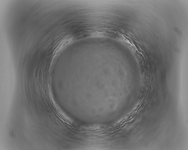 X0000116040049200911201353