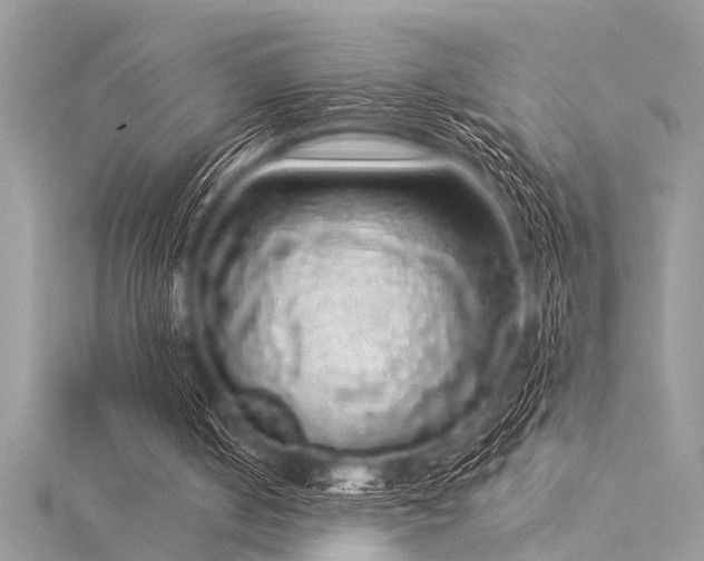 X0000116040050200911201353