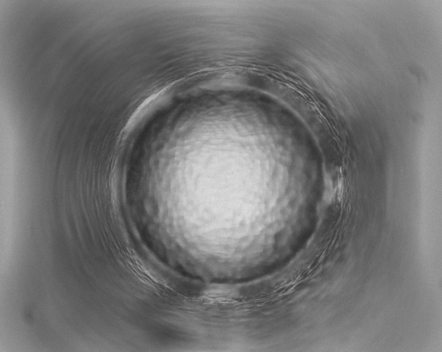 X0000116040051200911201353