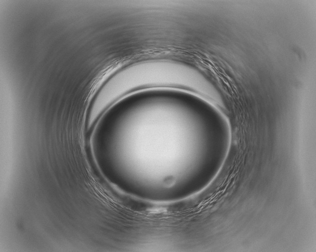 X0000116040052200911201353