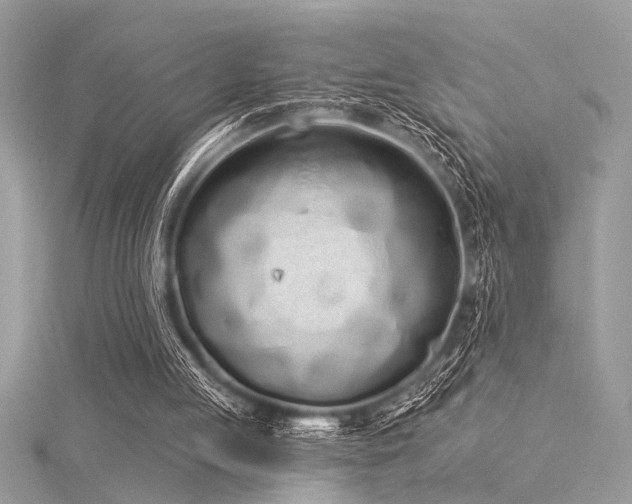 X0000116040053200911201353