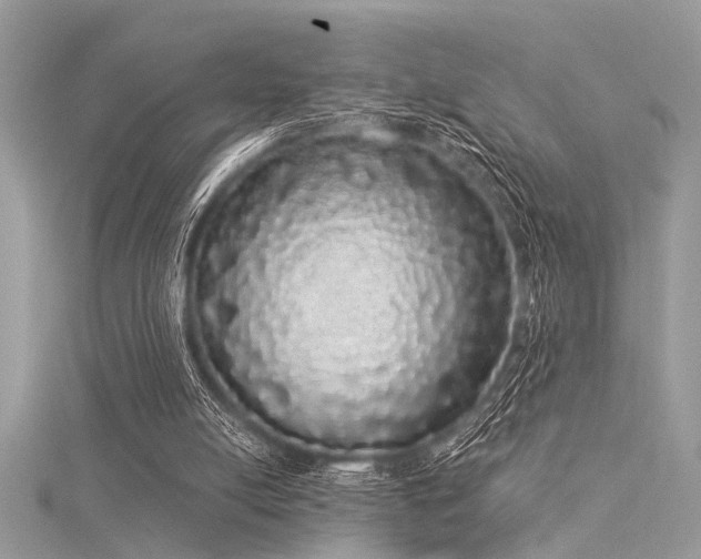 X0000116040054200911201353