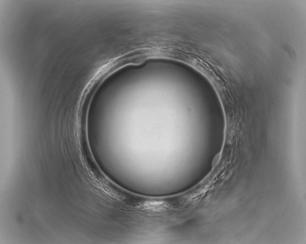 X0000116040055200911201353