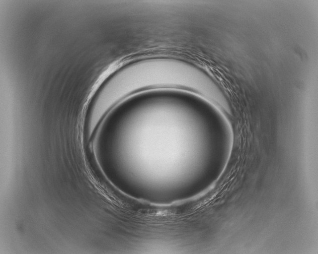 X0000116040056200911201353