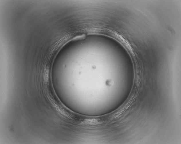 X0000116040057200911201353