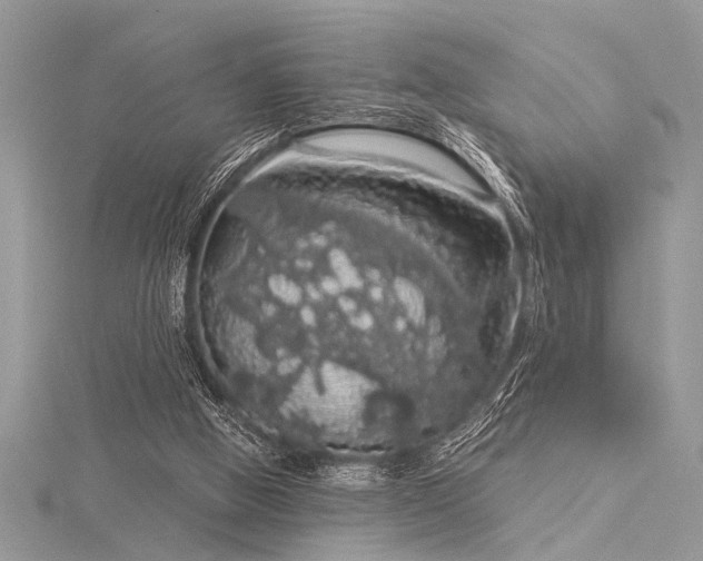 X0000116040058200911201353