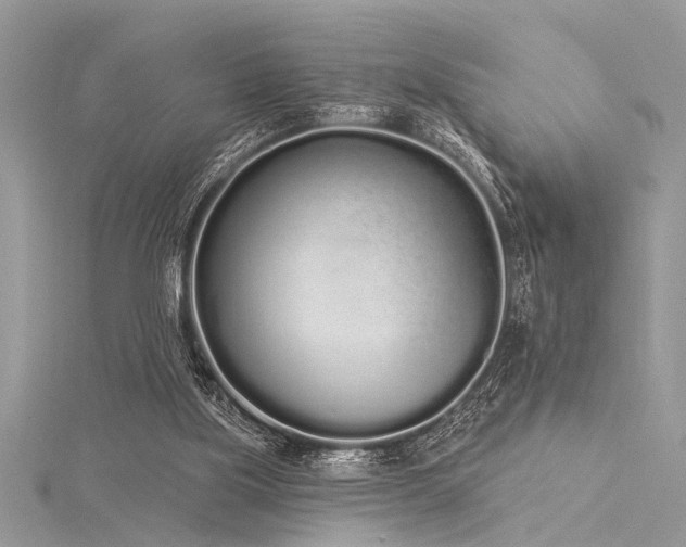 X0000116040059200911201353