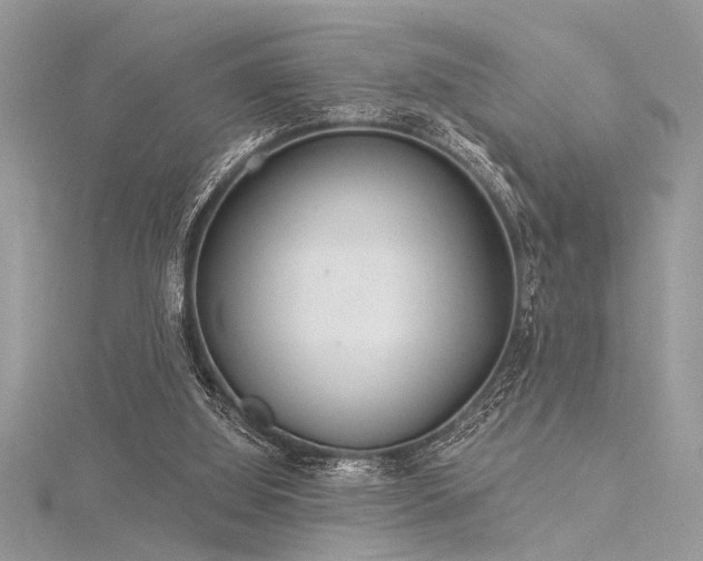 X0000116040060200911201353