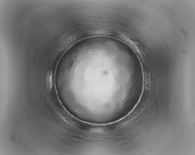 X0000116040061200911201353