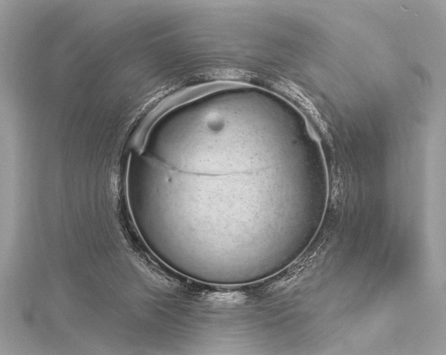 X0000116040063200911201353