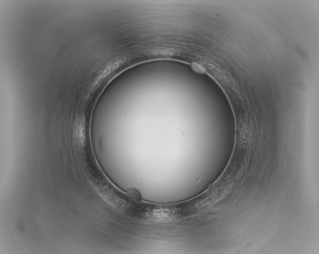 X0000116040064200911201353