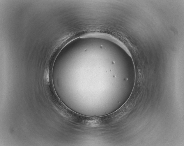 X0000116040068200911201354