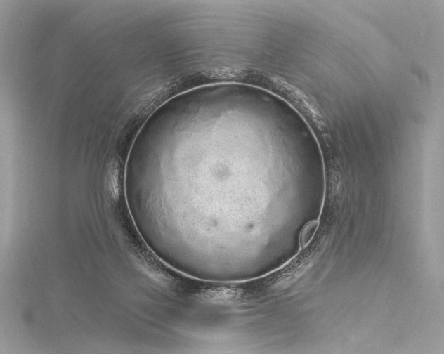 X0000116040069200911201354