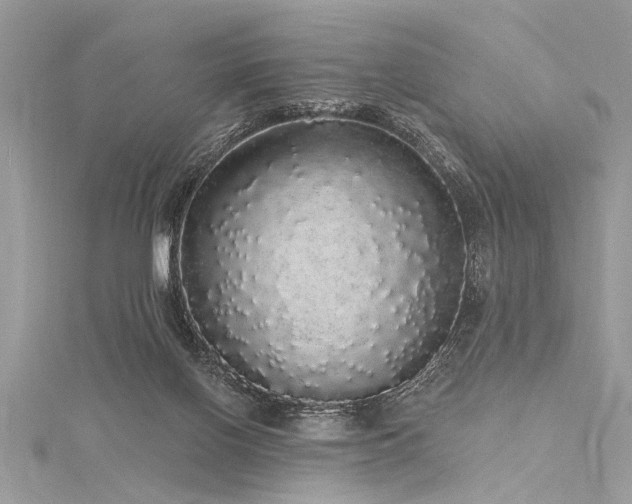 X0000116040070200911201354