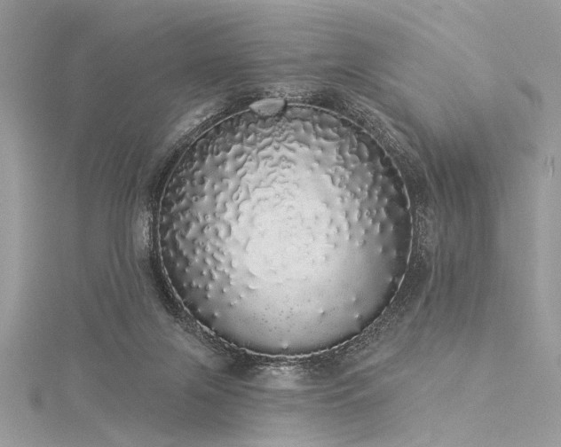 X0000116040071200911201354