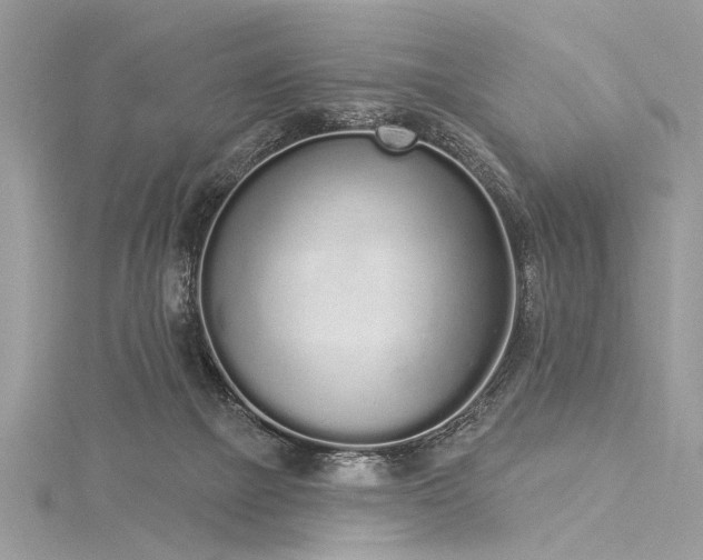 X0000116040073200911201354