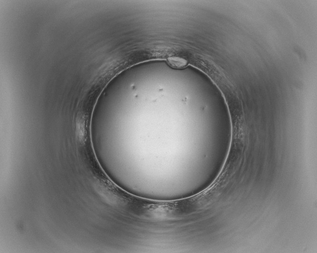 X0000116040074200911201354