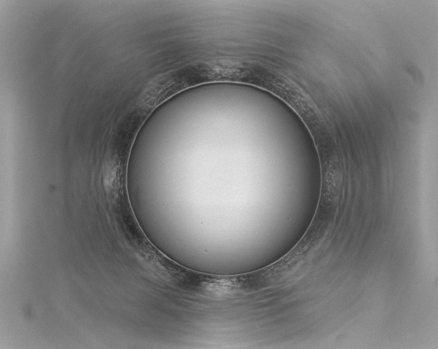 X0000116040079200911201354