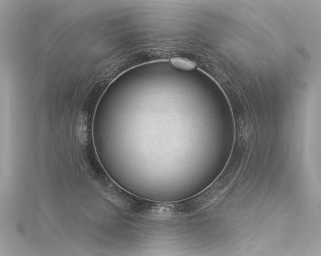 X0000116040080200911201354